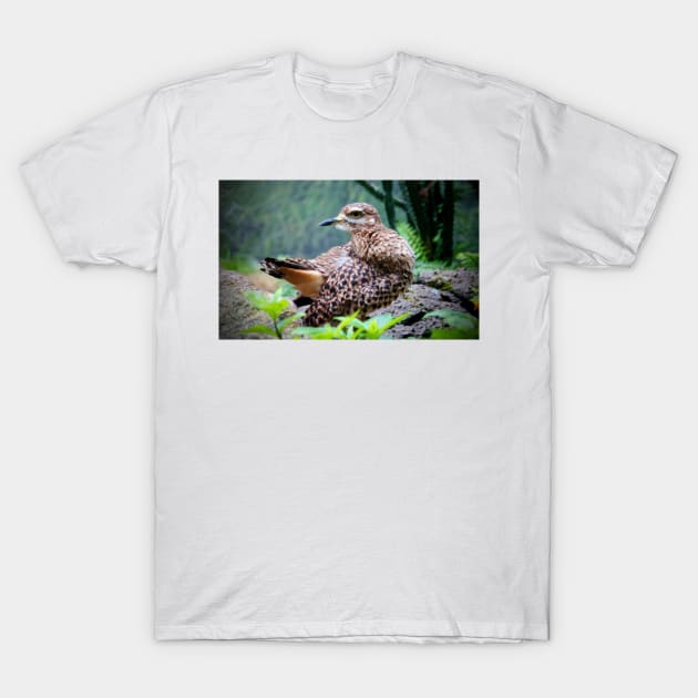 Spotted Dikkop T-Shirt by Cynthia48